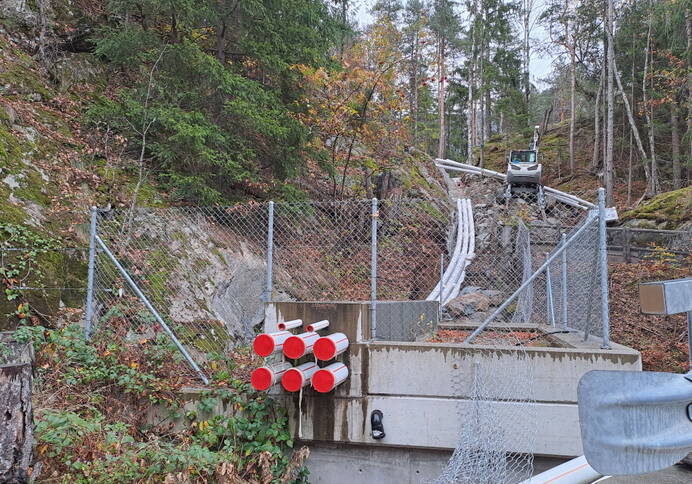 Übergang mit Kabeltrasse von Wald- auf Strassengebiet